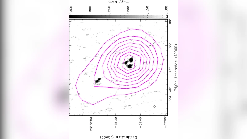 XMMU J0541.8-6659, a new supernova remnant in the Large Magellanic Cloud