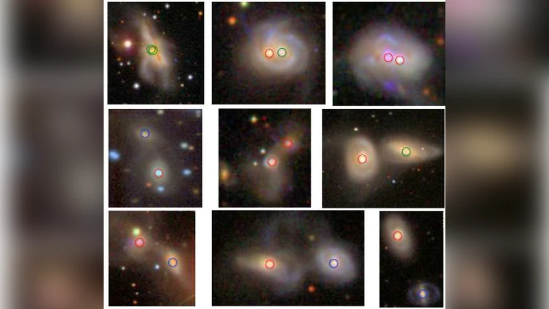 Understanding Dual AGN Activation in the Nearby Universe
