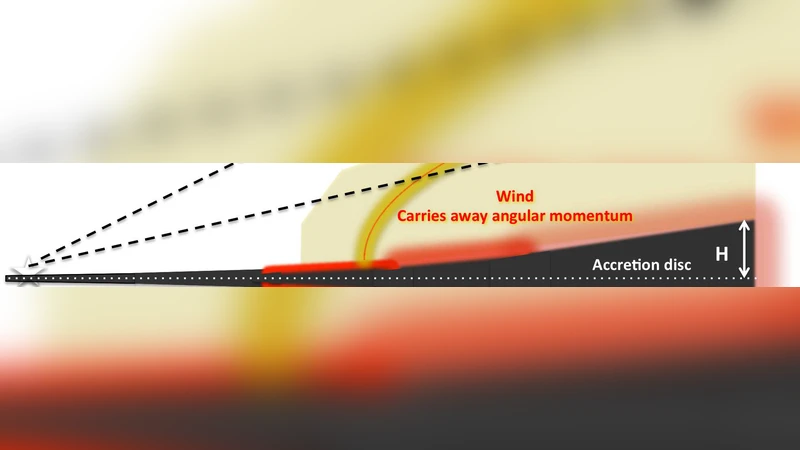 Ubiquitous equatorial accretion disc winds in black hole soft states