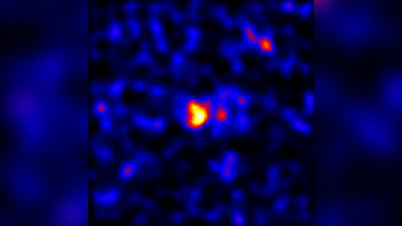Discovery of {gamma}-ray pulsation and X-ray emission from the black   widow pulsar PSR J2051-0827