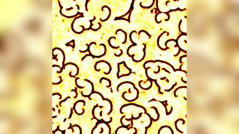 Conedy: a scientific tool to investigate Complex Network Dynamics