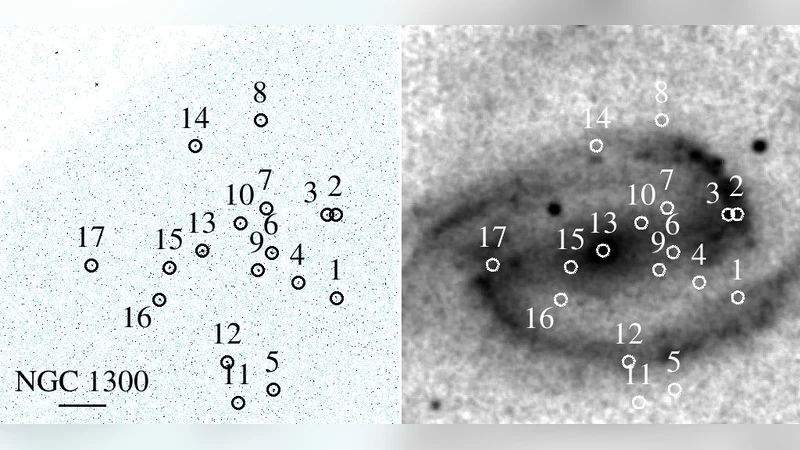 A Chandra Survey of Supermassive Black Holes with Dynamical Mass   Measurements