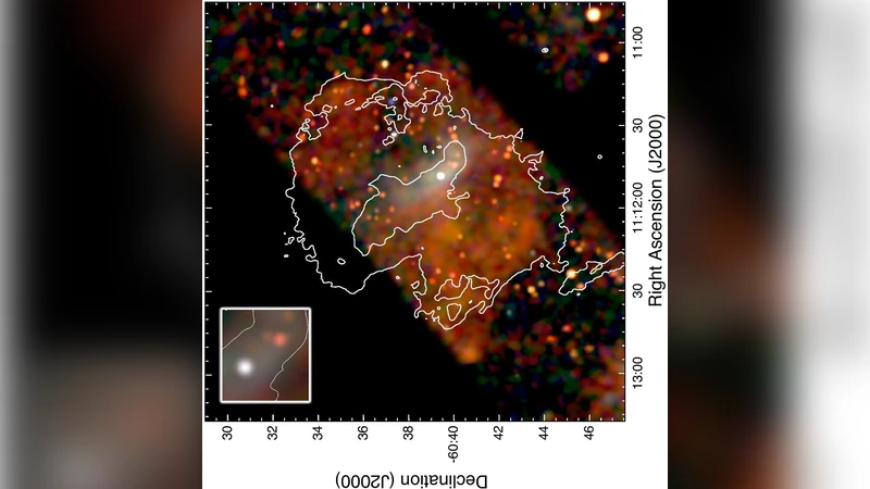 A Broadband Study of the Emission from the Composite Supernova Remnant   MSH 11-62