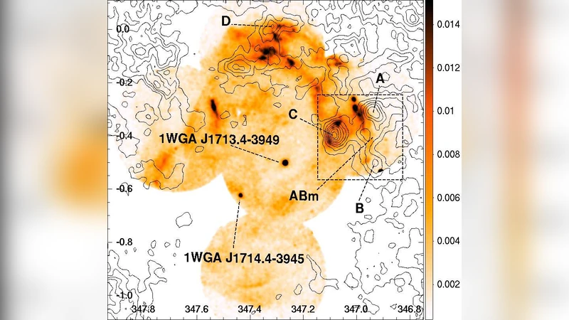 3 to 12 millimetre studies of dense gas towards the western rim of   supernova remnant RX J1713.7-3946
