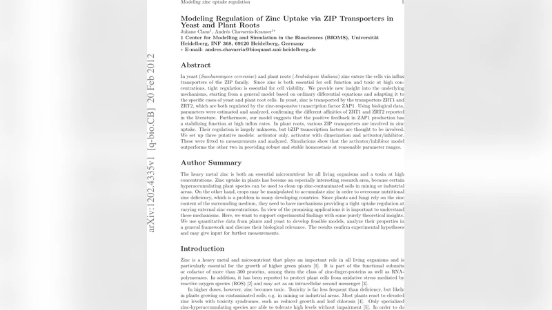 Modeling Regulation of Zinc Uptake via ZIP Transporters in Yeast and   Plant Roots