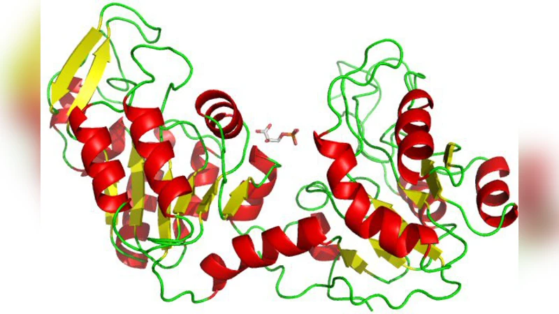 Modeling of solvent flow effects in enzyme catalysis under physiological   conditions