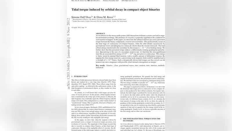 Tidal torque induced by orbital decay in compact object binaries