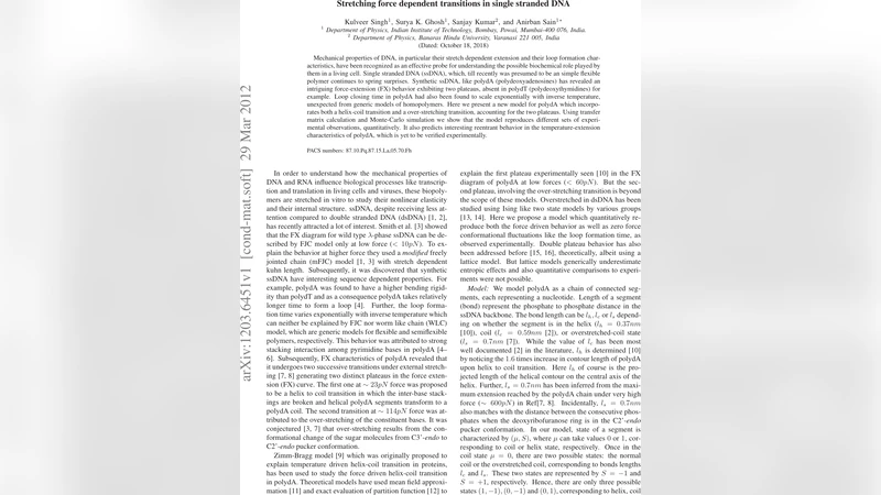 Stretching force dependent transitions in single stranded DNA