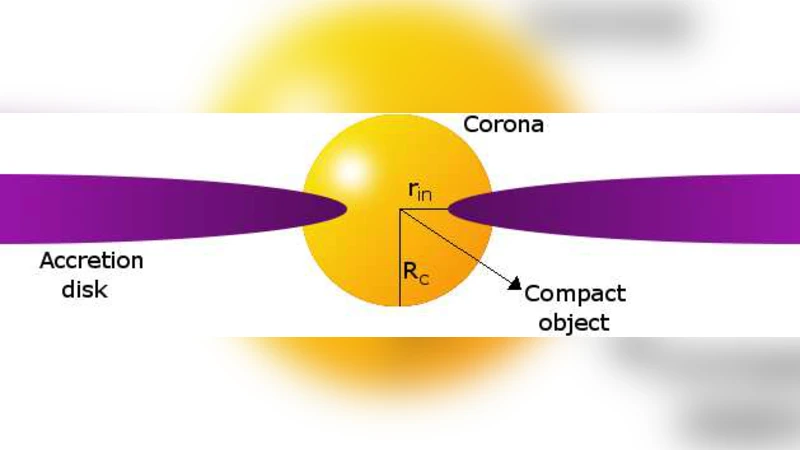 Particle transport in magnetized media around black holes and associated   radiation