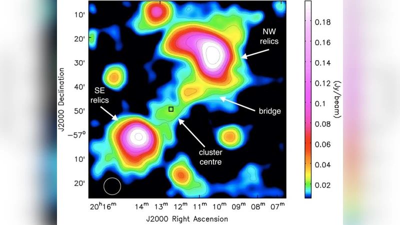 Detection of a radio bridge in Abell 3667