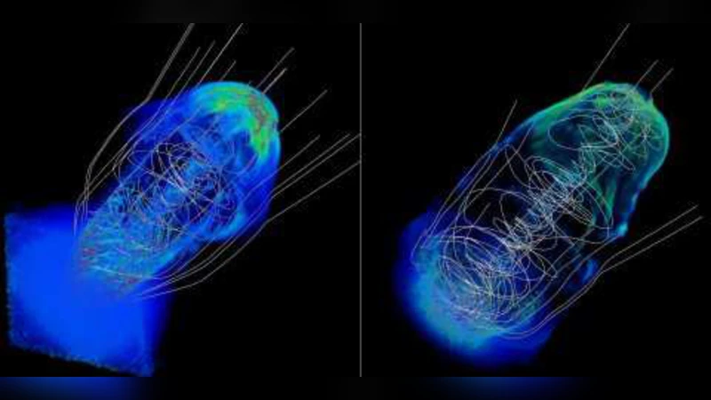 Magnetic Fields in Astrophysical Jets: From Launch to Termination