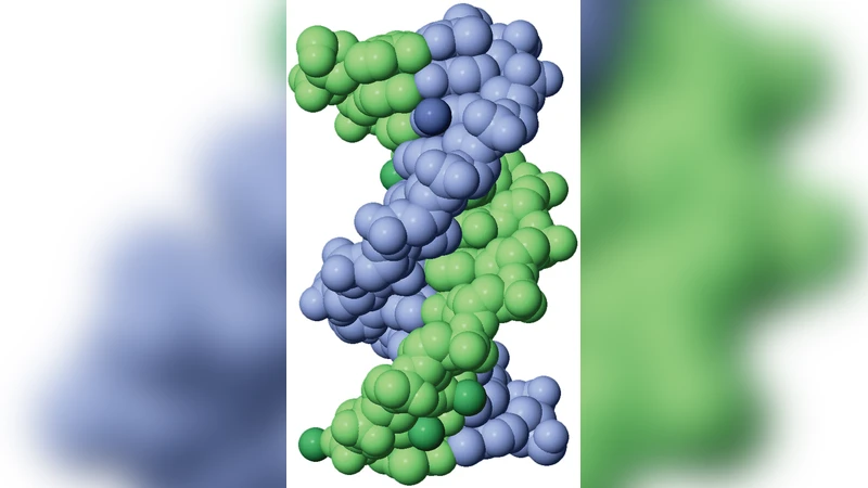 Transcription and the Pitch Angle of DNA