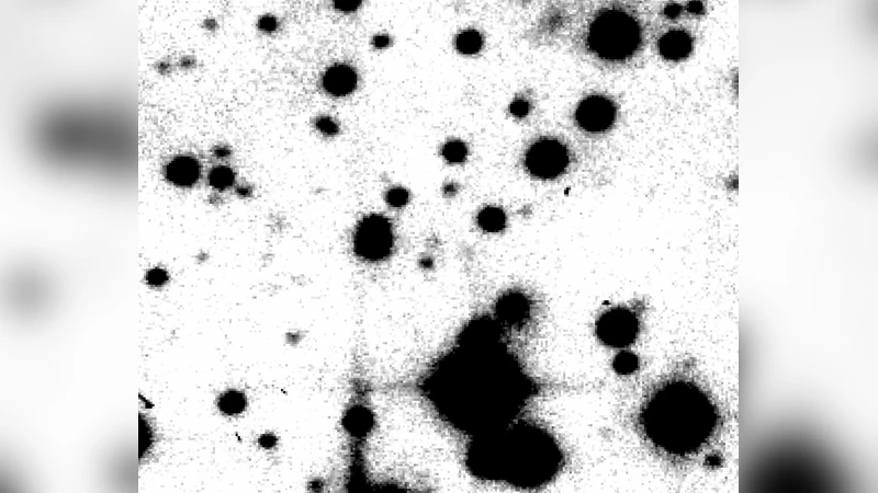 Citizen Science: Contributions to Astronomy Research