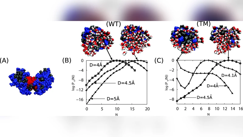 Simulations of HIV capsid protein dimerization reveal the effect of   chemistry and topography on the mechanism of hydrophobic protein association