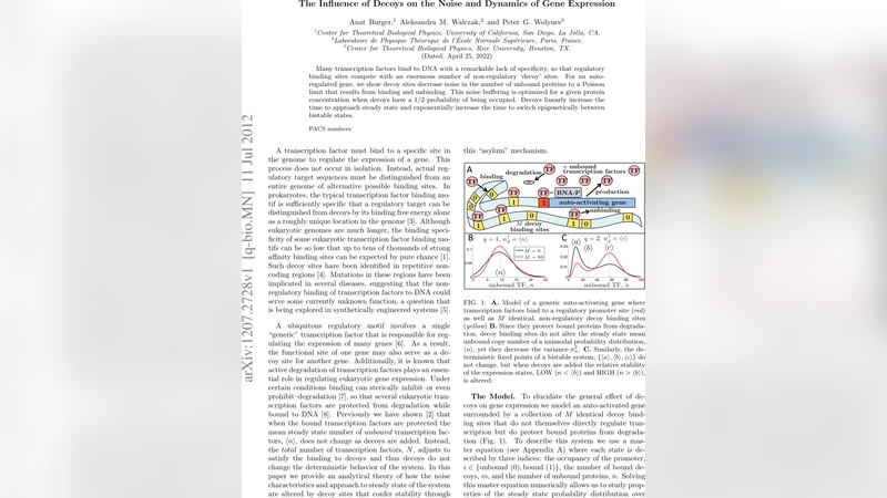 The Influence of Decoys on the Noise and Dynamics of Gene Expression