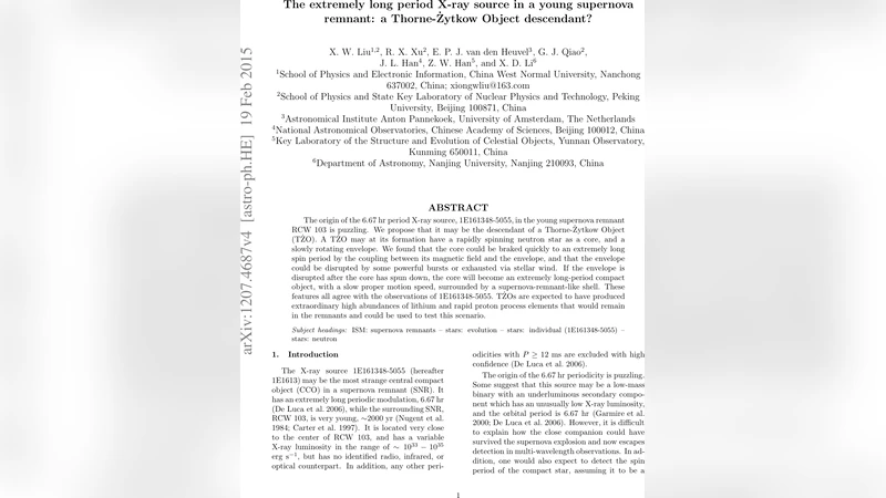 The extremely long period X-ray source in a young supernova remnant: a   Thorne-Zytkow Object descendant?