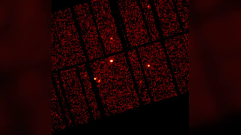 Simultaneous X-ray and optical observations of true Type 2 Seyfert   galaxies
