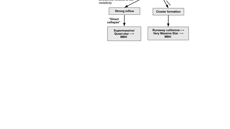 The first massive black holes