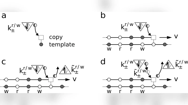 Kinetic vs. energetic discrimination in biological copying