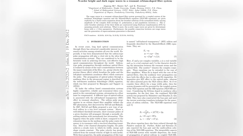 N-order bright and dark rogue waves in a Resonant erbium-doped Fibre   system