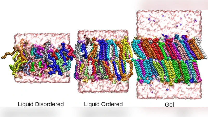 Anomalous diffusion of phospholipids and cholesterols in a lipid bilayer   and its origins