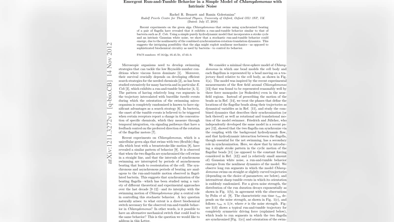 Emergent Run-and-Tumble Behavior in a Simple Model of Chlamydomonas with   Intrinsic Noise