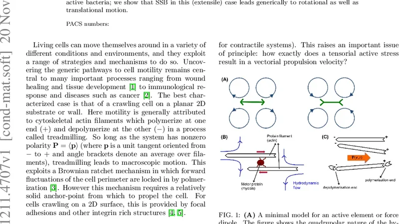 Spontaneous symmetry breaking in active droplets provides a generic   route to motility