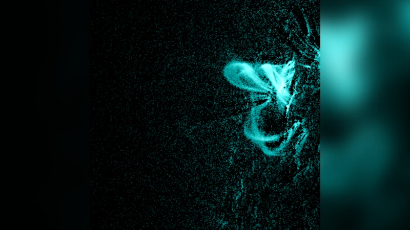 The Driver of Coronal Mass Ejections in the Low Corona: A Flux Rope