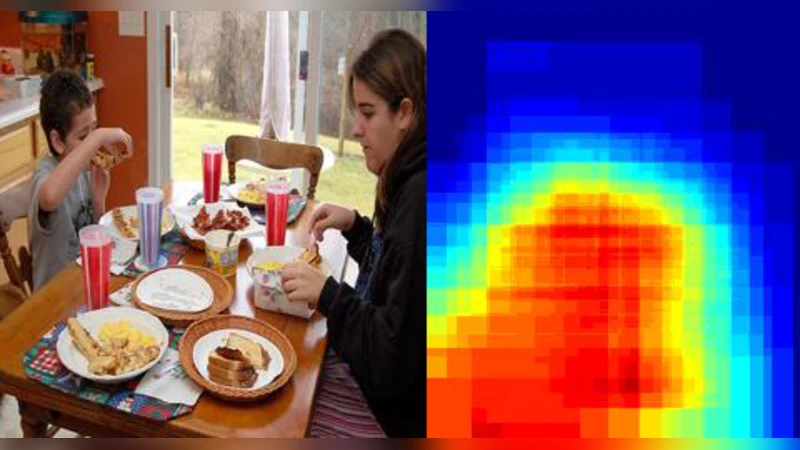 Fisher Kernel for Deep Neural Activations