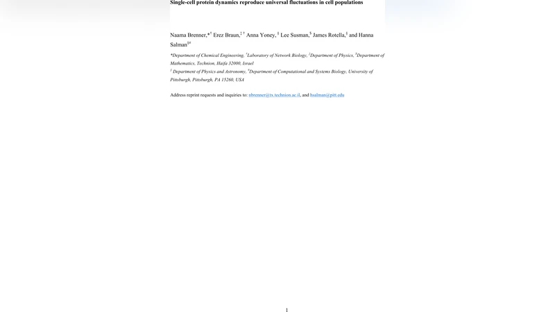 Single-cell protein dynamics reproduce universal fluctuations in cell   populations