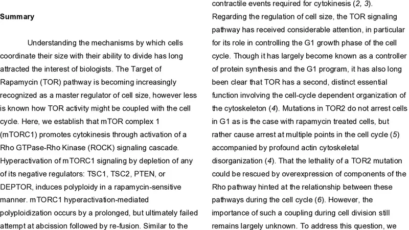 mTORC1 regulates cytokinesis through activation of Rho-ROCK signaling
