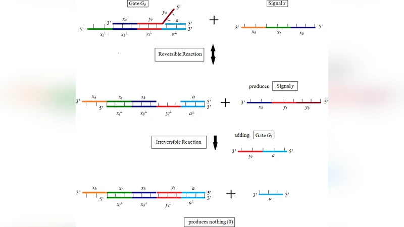 Logical Inference by DNA Strand Algebra