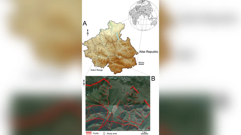 Mutation activity of Lonicera caerulea population in an active fault   zone (the Altai Mountains)