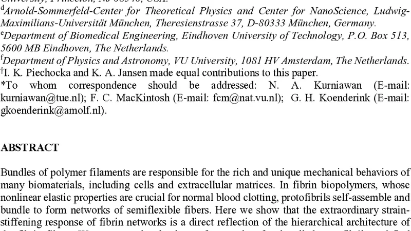 Multi-scale strain-stiffening of semiflexible bundle networks