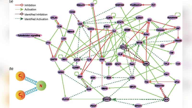 Control and controllability of nonlinear dynamical networks: a   geometrical approach