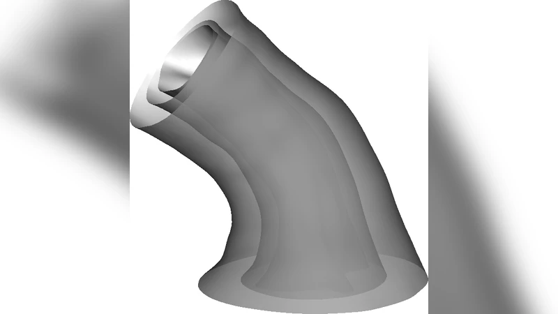 Visualization techniques for the developing chicken heart