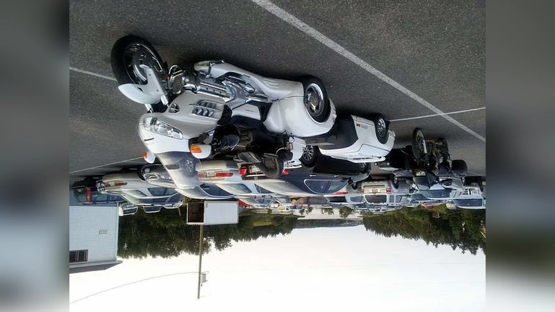 Learning like a Child: Fast Novel Visual Concept Learning from Sentence   Descriptions of Images