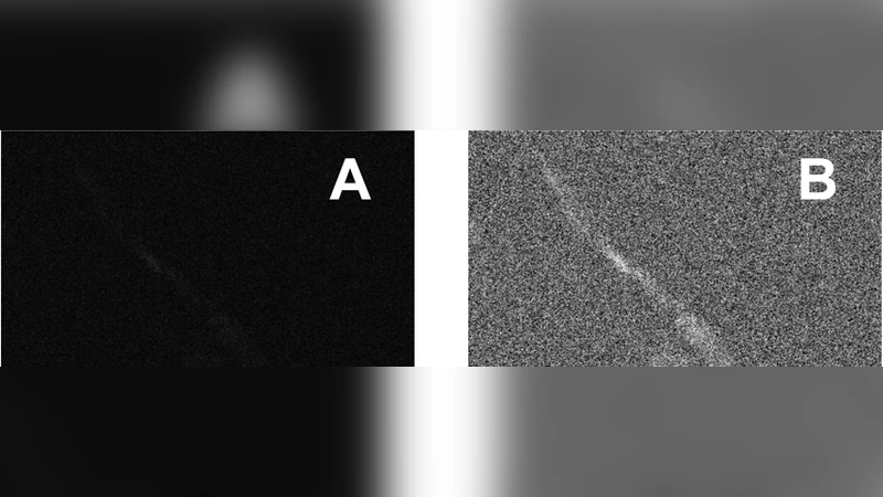 CARS and SHG microscopy to follow the collagen production in living   human corneal fibroblasts and mesenchymal stem cells in fibrin gel 3D   cultures