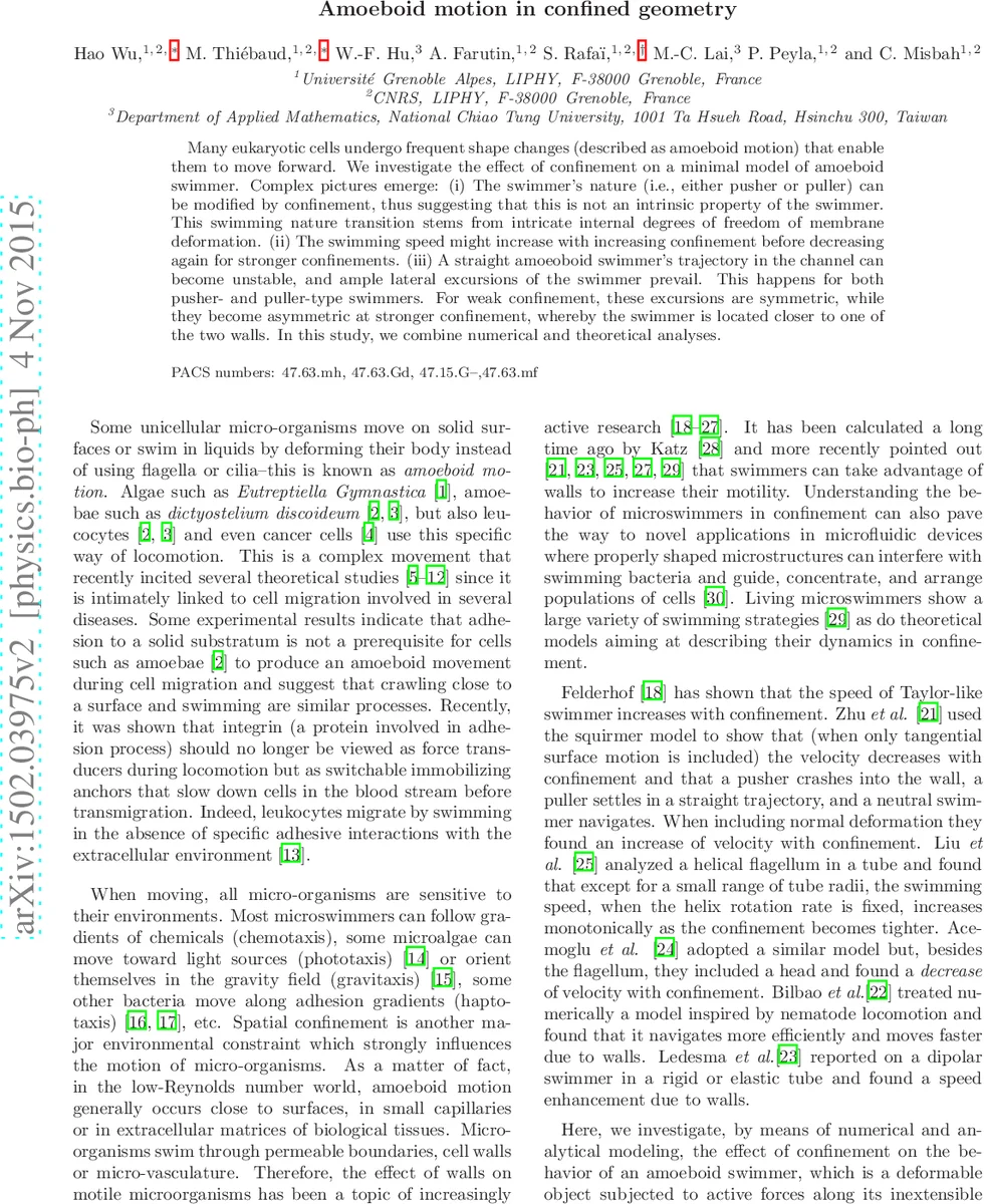 Amoeboid motion in confined geometry