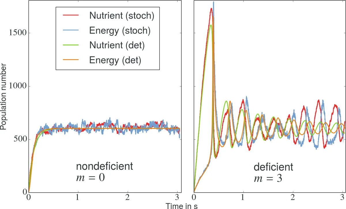 A Hybrid Federated Learning Based Ensemble Approach for Lung Disease Diagnosis Leveraging Fusion of SWIN Transformer and CNN