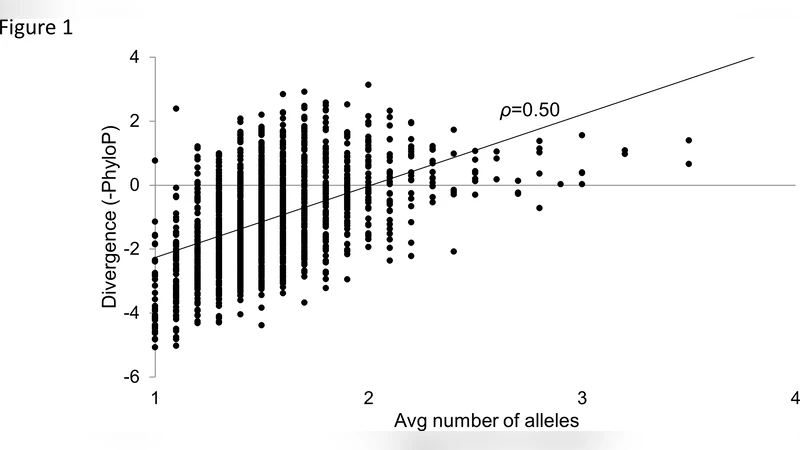 The Future of Neural Networks