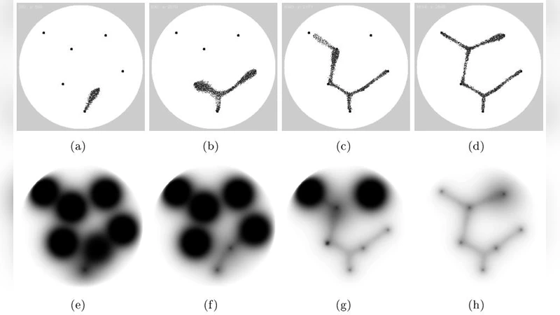 A fair comparison of many max-tree computation algorithms (Extended   version of the paper submitted to ISMM 2013