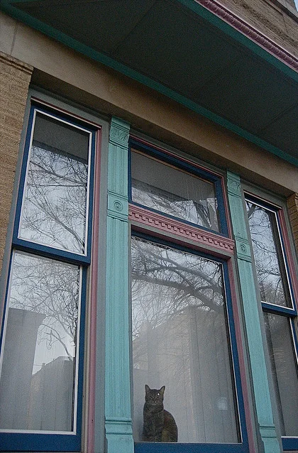 Semantic Communication-Enhanced Split Federated Learning for Vehicular Networks: Architecture, Challenges, and Case Study