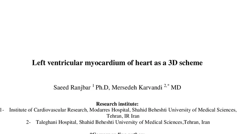 Left ventricular myocardium of heart as a 3D scheme