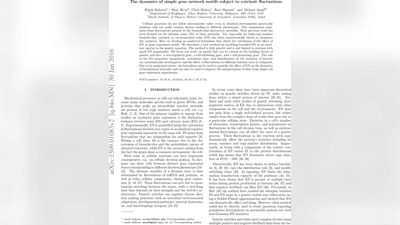 The dynamics of simple gene-network motifs subject to extrinsic   fluctuations
