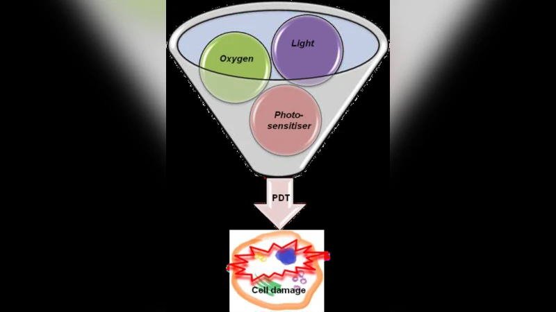 Cancer and electromagnetic radiation therapy: Quo Vadis?