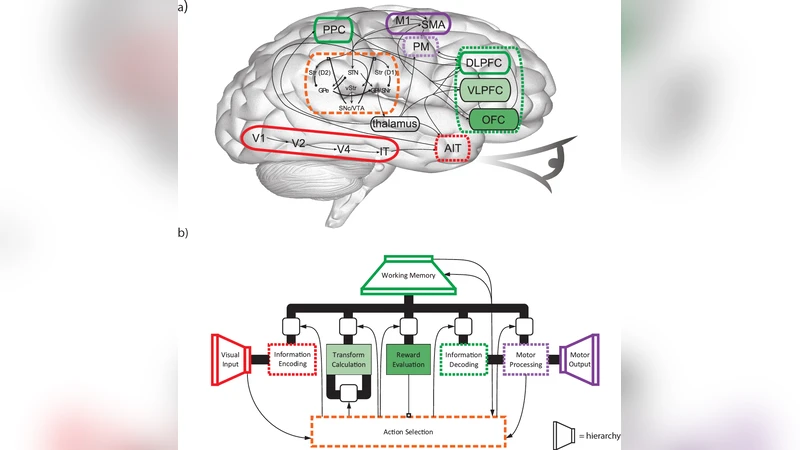 BioSpaun: A large-scale behaving brain model with complex neurons