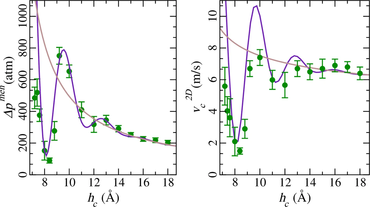 Anomalous capillary filling and wettability reversal in nanochannels