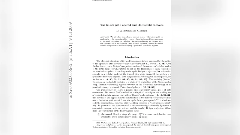 The lattice path operad and Hochschild cochains