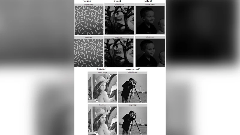 Steganography -- A Game of Hide and Seek in Information Communication